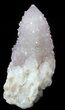 Cactus Quartz (Amethyst) Crystal - Large Point #47181-1
